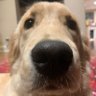Profilbild von Phi Walker