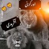 Hayat Afridi 的头像