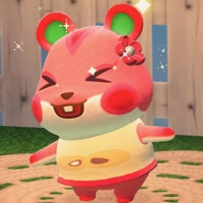 사과씨누나's profile picture