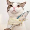 Profilbild von Elsie
