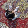 ام فهودي profil fotoğrafı