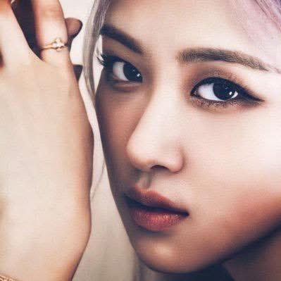 ROSร DAILY UPDATE's profile picture