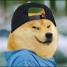 Dhokla_Dynamics profil fotoğrafı