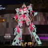 Фото профиля りゅな