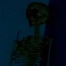 Profilbild von steven