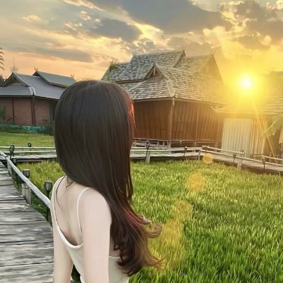 美羊羊's profile picture