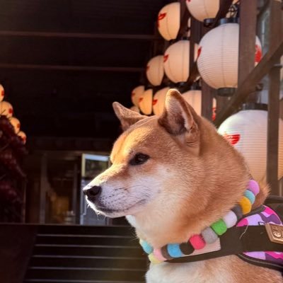 Lucaウマウマ🍪ルーカ's profile picture