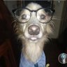 raszan's profile picture
