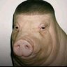 Zogotvibes's profile picture