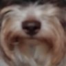 Marzena Zolkiewska's profile picture