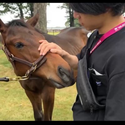 poniponibaken's profile picture