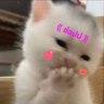 💛 P,𝐁𝐢𝐧𝐆 ♡ P,วาโย😎 🌈 𝒞𝒽𝒶𝑒𝐿𝒾𝓈𝒶 🍃 profil fotoğrafı