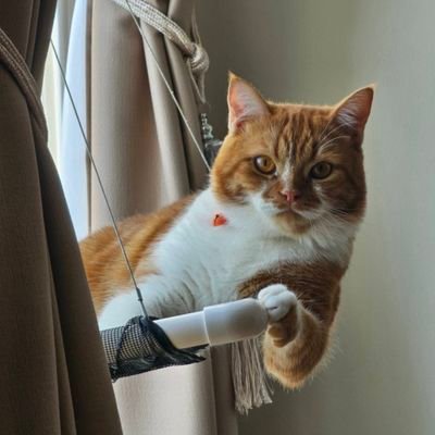 spidercasper's profile picture