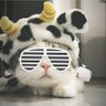 nnamfah's profile picture