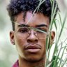 JOMO 🇿🇦 🏆's profile picture