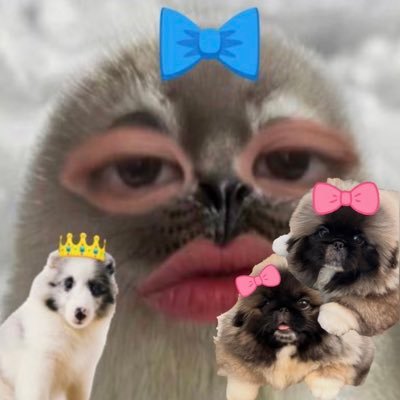 𝙺𝙾𝙽𝙺𝙾𝙽 ʕ•ᴥ•ʔ's profile picture
