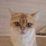 ชอบคุณอ่ะคับ profil fotoğrafı
