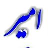 Profilbild von امیر بلوچ