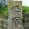 L 的头像
