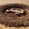 ابو بيلسان 的头像