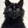 Profilbild von Flozzy0312