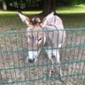 ploecke's profile picture