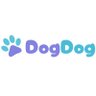 DogDog 的头像