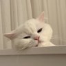 Miray's profile picture