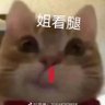 lsp罢了's profile picture