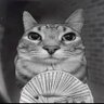 Projekt's profile picture