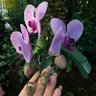 Фото профиля Grethel Rodríguez. ☀️
