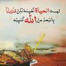 om alfars 的头像