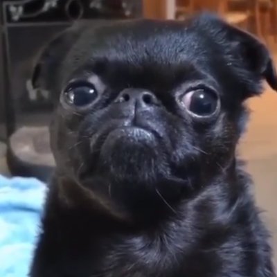 rip's profile picture