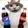 Profilbild von どこかのはると