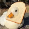 Profilbild von いもけんぴ
