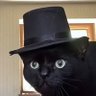 AFK_Snacker's profile picture
