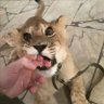 wulululululu's profile picture