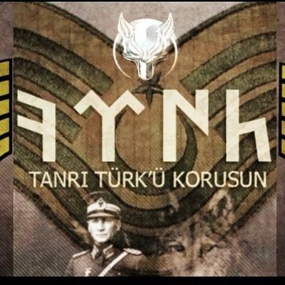 Türkçü Astsubay's profile picture