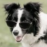 rudis's profile picture