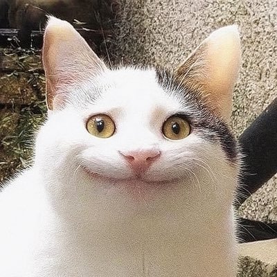 1188Gsk's profile picture