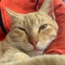 Profilbild von Delta Romeo 95