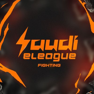 SEL_Fighting's profile picture