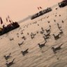 🎭 Peeku Blinder 🏏 profil fotoğrafı
