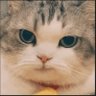 Vinson sun's profile picture