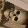 Battle Skeleton's profile picture
