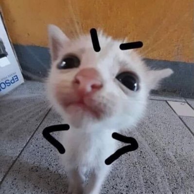 orzsendhelp's profile picture