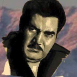 Sahil Pashtun🇦🇫🦅's profile picture