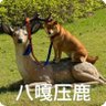 谷格格 的头像