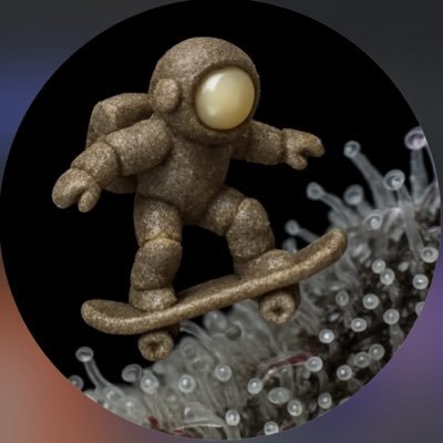 Drygoberto's profile picture