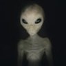 Observer profil fotoğrafı